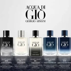 Acqua Di Gio Profondo Armani Parfum Spray 100ml Discount
