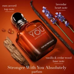 Stronger With You Absolutely Armani Eau de Parfum Spray 100ml Outlet