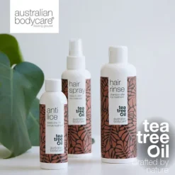 Hair Treatments Australian Bodycare Head Lice Kit 3 Piece Lice Treatment Kit New