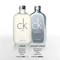 CK One Calvin Klein Eau de Toilette 100ml Clearance