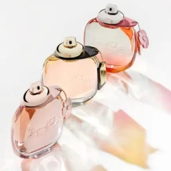 Coach Eau de Parfum 50ml Discount