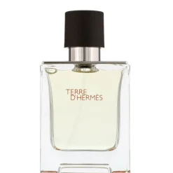 Terre dâ€™Hermes Hermès Terre d'Hermes Eau de Toilette Spray 50ml Clearance