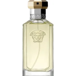 Dreamer Versace Eau de Toilette Spray 100ml Outlet