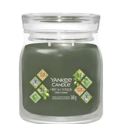 Hello Italy! Yankee Candle Signature Medium Jar Olive & Cypress Fashion