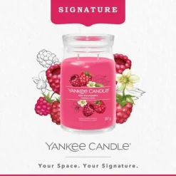Signature Jar Candle Yankee Candle Large Jar Red Raspberry 567g Discount