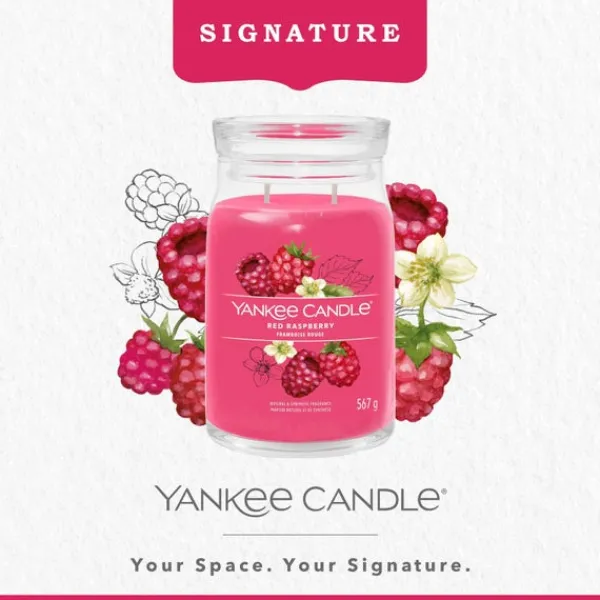 Signature Jar Candle Yankee Candle Large Jar Red Raspberry 567g Discount