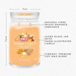 Signature Jar Candle Yankee Candle Large Jar Mango Ice Cream 567g Outlet