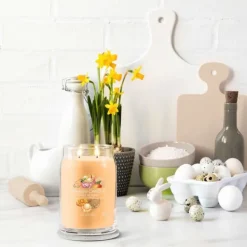 Signature Jar Candle Yankee Candle Large Jar Mango Ice Cream 567g Outlet
