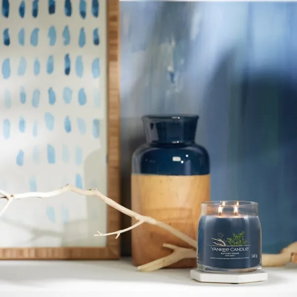 Signature Jar Candle Yankee Candle Medium Jar Bayside Cedar 368g Sale