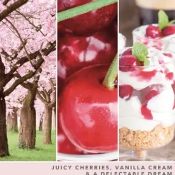 Signature Jar Candle Yankee Candle Large Jar Pink Cherry Vanilla 567g Sale