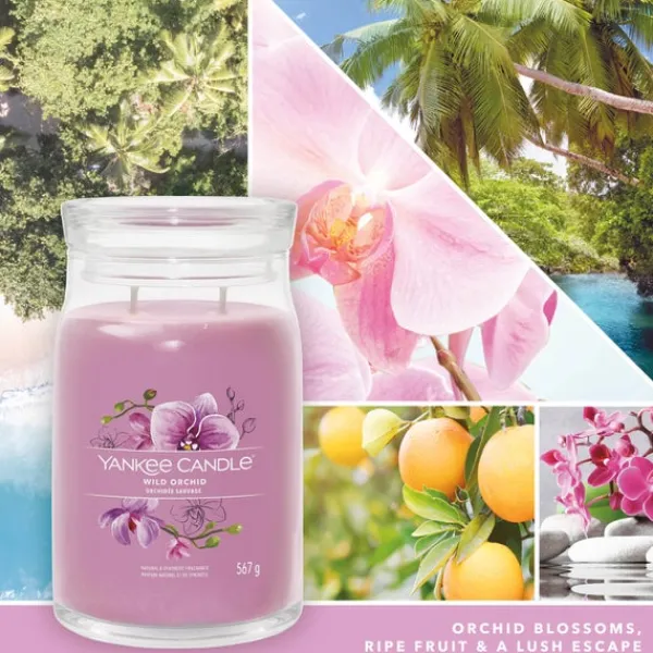 Signature Jar Candle Yankee Candle Large Jar Wild Orchid 567g Fashion
